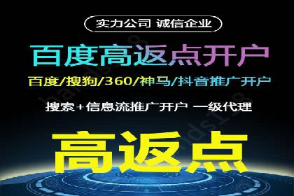 竞价排名在品牌推广中的经典案例